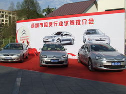 強強聯手 東風雪鐵龍汽車租賃行業試駕會圓滿舉行